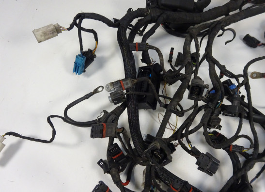 Kabelboom BMW K 1200 S 