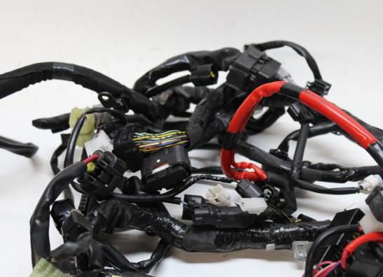 Wire Harness Yamaha XSR 900