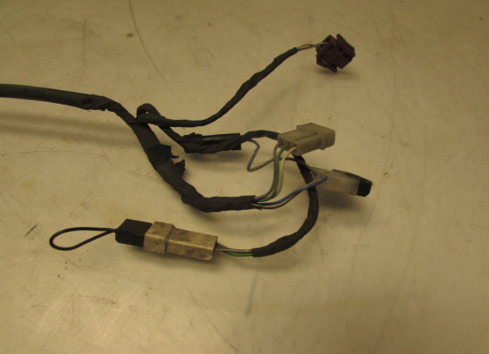 Kabelboom voor BMW F 650 GS