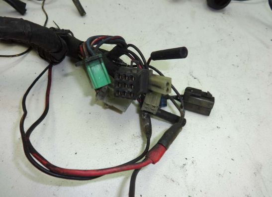 Wire Harness Kawasaki GPZ 900