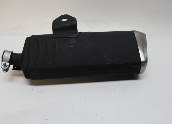 Auspuff Kawasaki Ninja 300