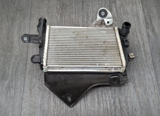 Radiateur BMW R 1200 GS LC Adventure