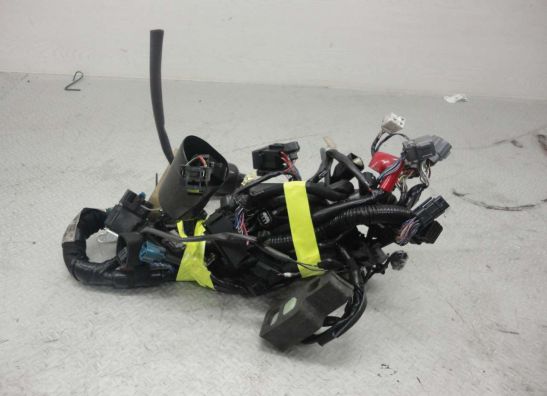 Kabelboom Kawasaki Z 800