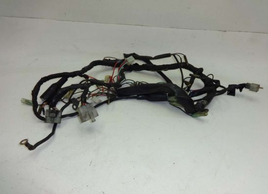 Wire Harness Kawasaki CSR 305 LTD
