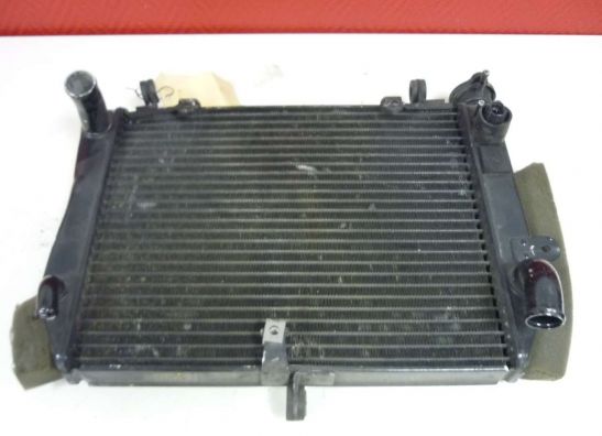 Radiateur Yamaha YZF R6