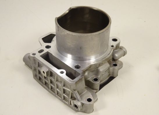 Cilinderblok Aprilia RSV 1000