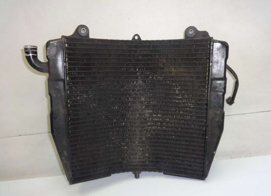 Radiateur Suzuki RF 600