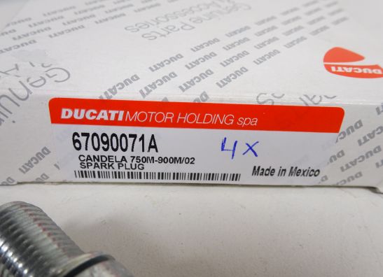 Bobine Ducati monster 900