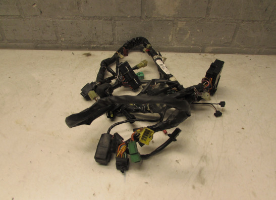 Wire harness front Suzuki SV 650