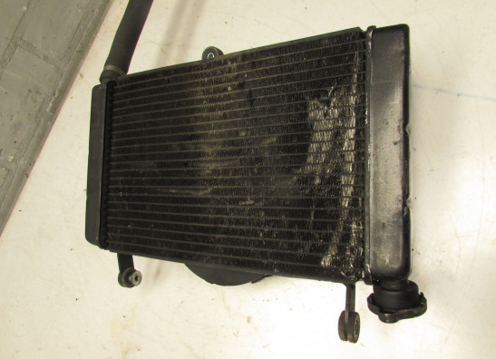 Kuhler Yamaha FZR 600