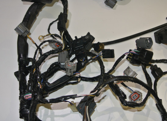 Wire Harness Kawasaki Z 750