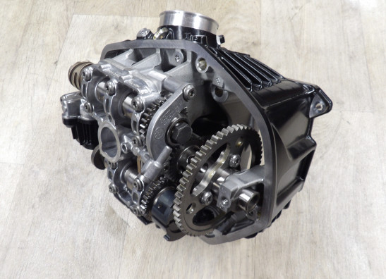 Cilinderkop BMW R 1250 RS