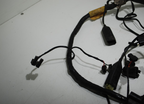 Wire Harness Triumph 900 Daytona