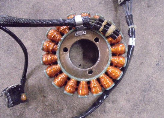 Lichtmaschine Triumph Tiger 660 Sport