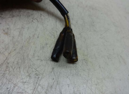 Lichtmaschine Kawasaki Overige Kawasaki