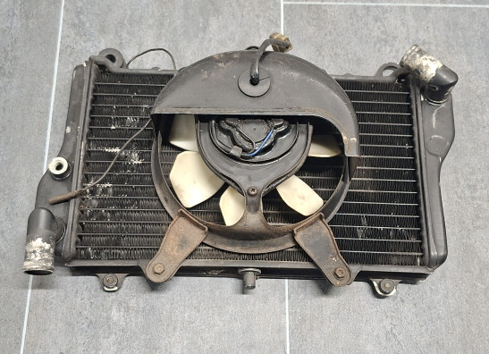 Radiator Kawasaki GPZ 900