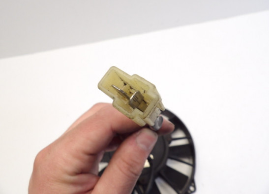 Fan Triumph 1200 Daytona