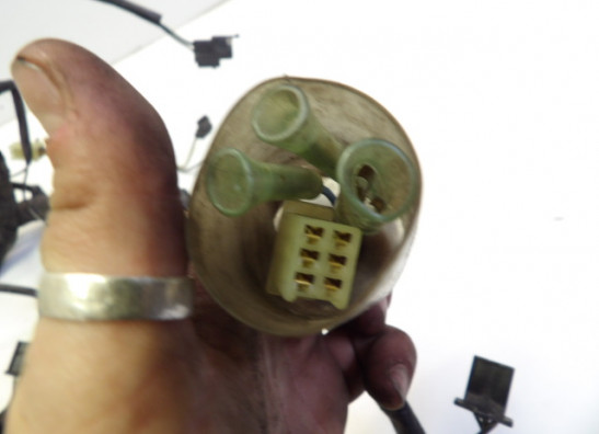 Wire Harness Honda CB 1000 F