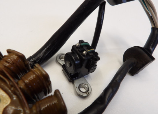 Lichtmaschine Yamaha TDM