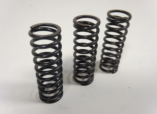 Kupplung Aprilia Tuono 660