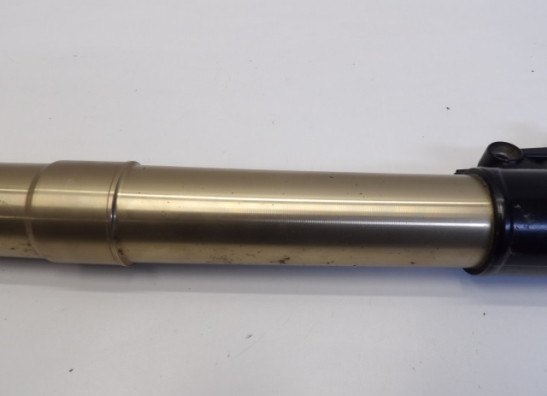 Standrohr Gabelholm links komplett BMW R 1200 GS