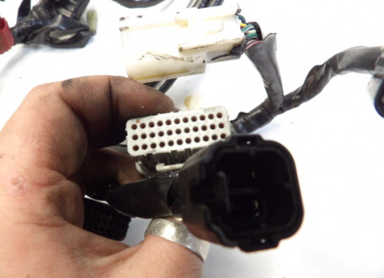 Kabelboom Honda CBR 600 F