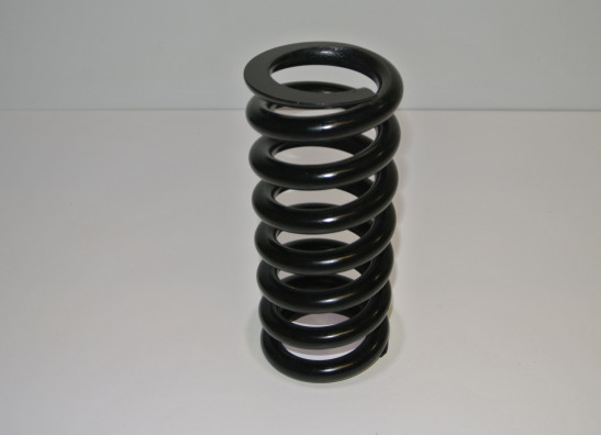 Achterschokbreker BMW F 800