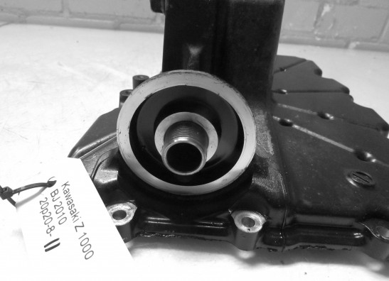 Carterpan Kawasaki Z 1000