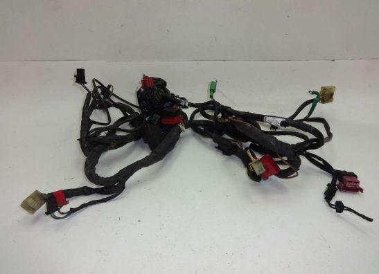 Wire Harness Honda CBR 1000 F