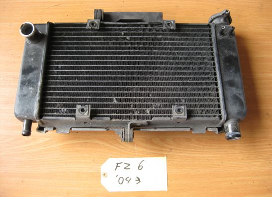 Radiator Yamaha FZ6