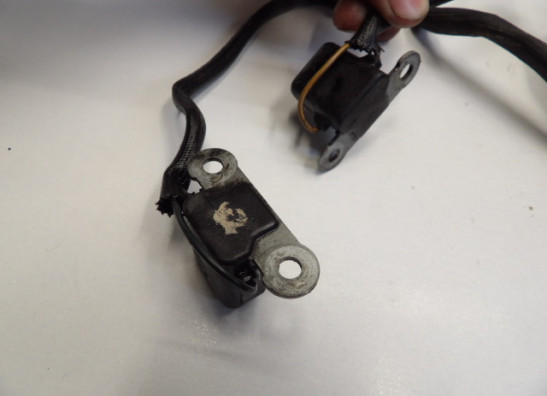 Dynamo Suzuki VS 700 Intruder