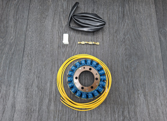 Dynamo Kawasaki ZZR 600