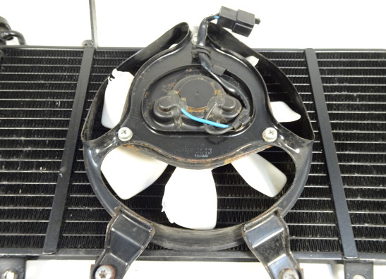 Radiateur Triumph Sprint ST 1050