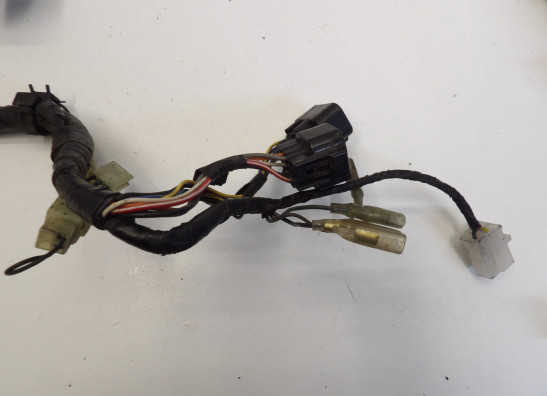 Kabelboom Yamaha FAZER 600