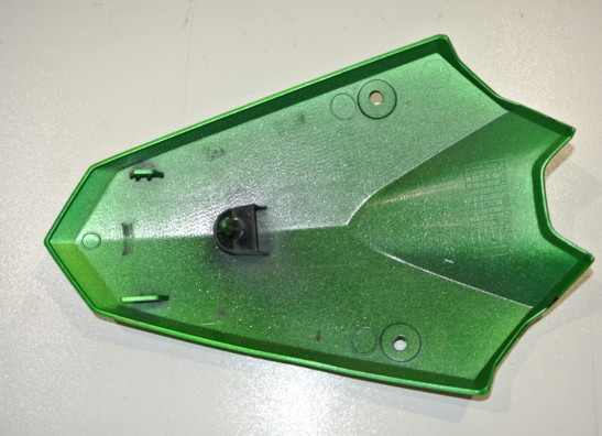 Frontverkleidung kanzel Kawasaki Z 1000