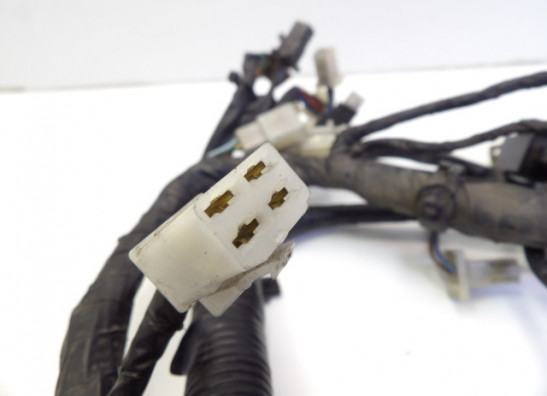 Kabelboom Yamaha TRX 850