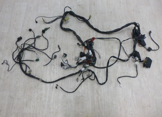 Kabelboom Aprilia RSV 1000 1998-2000