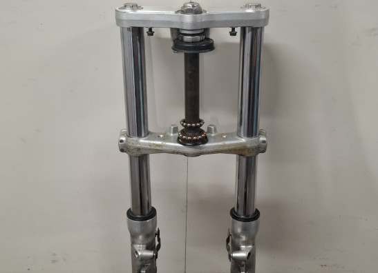 Voorpoten compleet Suzuki SV 650