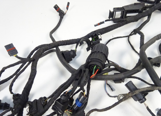 Kabelboom BMW K 1200 R 