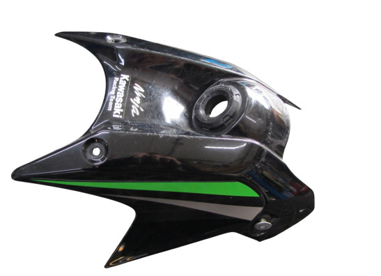 Tankschutz Kawasaki Ninja 650