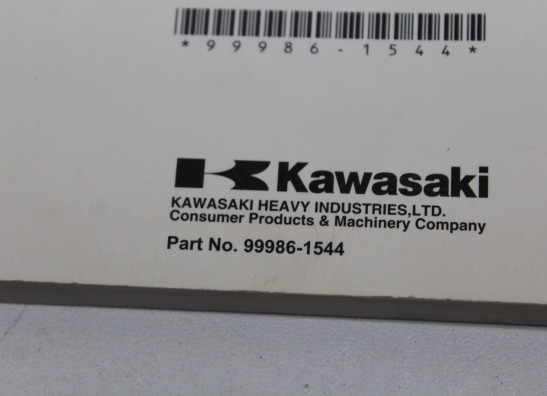 Manuel Kawasaki ZX 10 R