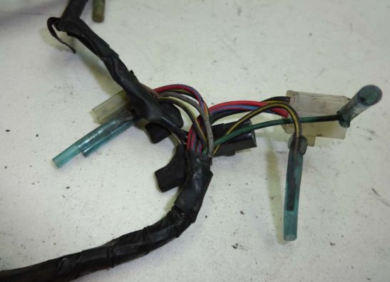Wire Harness Kawasaki EL 250