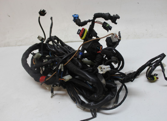 Kabelboom Moto Guzzi 1200 sport