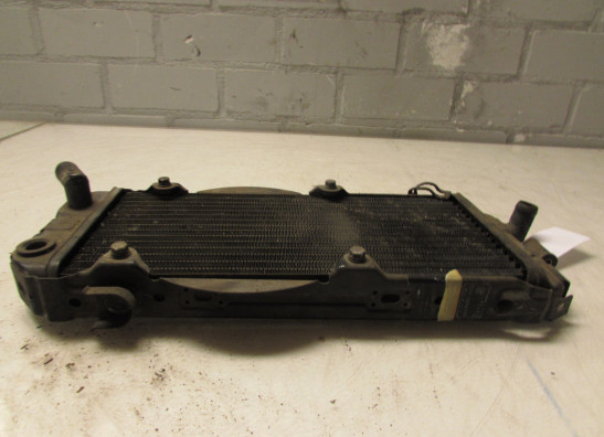 Radiator Honda VT 700 750