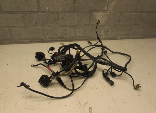 Kabelboom Ducati Multistrada 1000