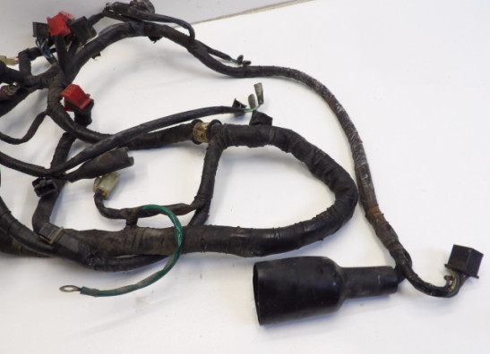 Kabelboom Honda CBX 750 F