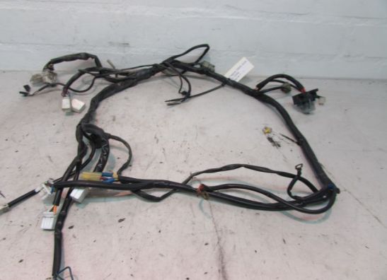 Wire Harness Cagiva G 600 W