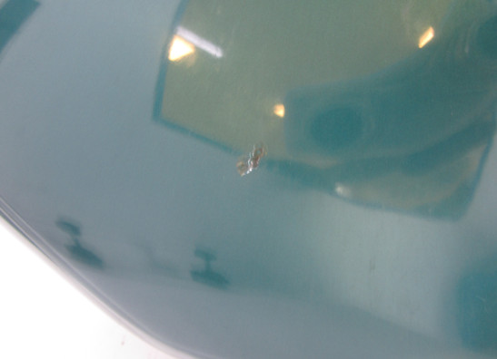 Fuel tank Yamaha XJ 900 S Diversion