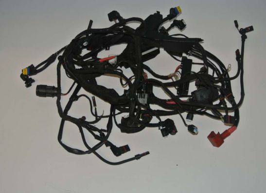 Wire Harness BMW R 1200 GS