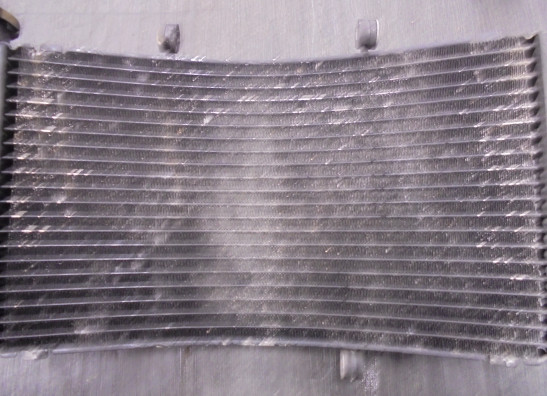 Radiateur Honda CBR Fireblade